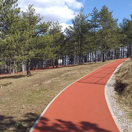 Zlatni San-apartmani Prestige Forest