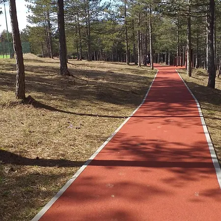 Zlatni San-apartmani Prestige Forest Apartman *