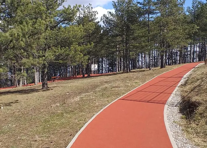 Zlatni San-apartmani Prestige Forest