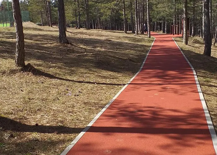 Zlatni San-apartmani Prestige Forest Daire *